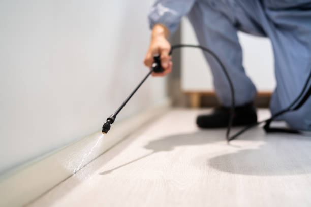 Certified termite inspector examining foundation in Aloha